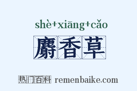 麝香草是什么意思的图片